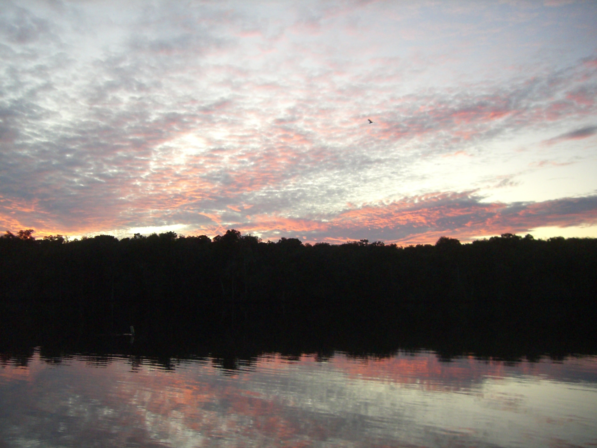 Manattee Springs