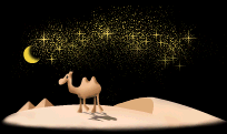 camel